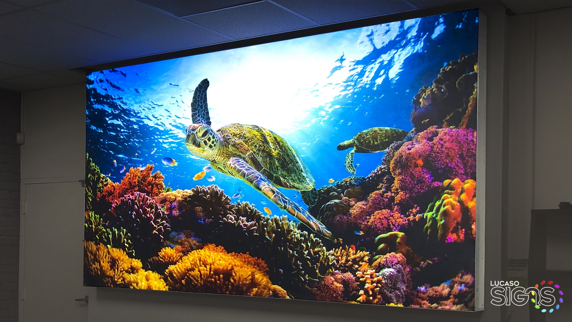 Wall Sign Cabinet with Flex Face by lucaso signs